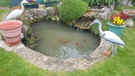 pond cleaning complete aquatics