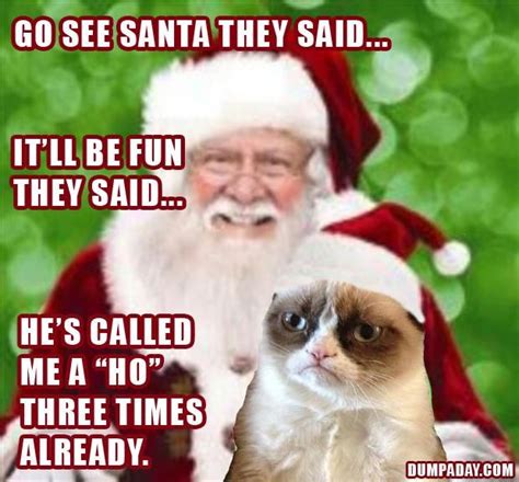 Fun Holiday Cats Dump A Day Grumpy Cat Christmas Pictures Funny