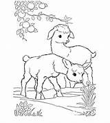 Coloring Goat Cute Momjunction Animal Animals sketch template