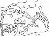 Coloring Sea Life Fish Kids sketch template