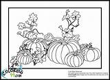 Citrouille Objets Printablefreecoloring Coloriage 1228 sketch template