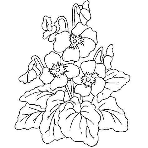 spring flower coloring pages printable flower coloring pages