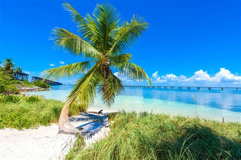 Best Beaches In The Florida Keys For A Dip Blogger At Large My Xxx