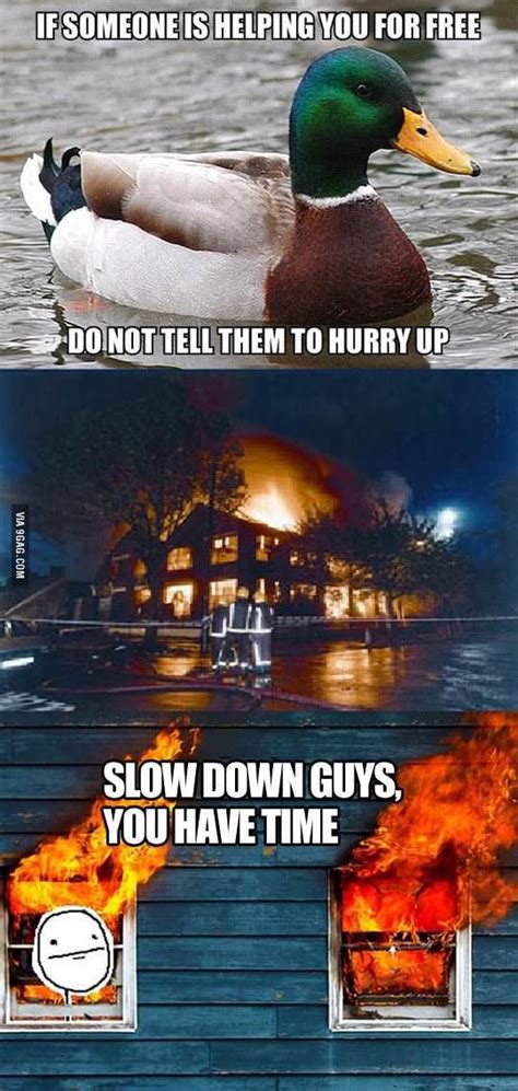 Slow Down Guys Best Funny Pictures Funny Pictures