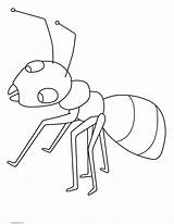 Hormigas Ant Coloringtop Fact sketch template