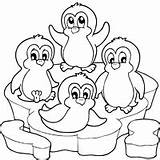 Coloring Penguins Pages Penguin Animals Surfnetkids Ice Cute Christmas Drawing Printable Colouring Sheets Antarctica Adult Winter Print Choose Board sketch template