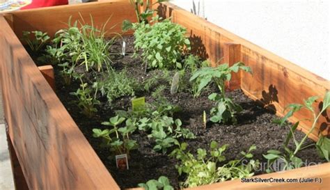 vegetable planter box turned herb garden julie writes