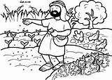Parable Sower Coloring Pages sketch template
