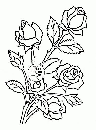 bouquet  roses coloring pages   coloring book images
