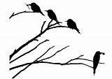 Vogels Tak Kleurplaat Branche Tronco Arvore Oiseaux Tekening Oiseau Takken árvore Educol Kleurplaten Passaros Branch Educolorir Pássaros Grote sketch template