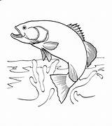 Coloring Fish Salmon Water Jumping Pages Visit Kids sketch template