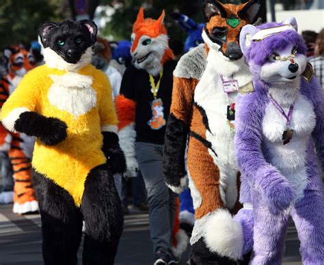 real life furries weird pictures  photo galleries daily star