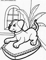 Coloring Pages Puppy Puppies Labrador sketch template