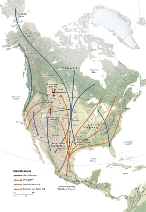 create  animal migration map national geographic society