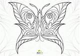 Coloring Pages Butterfly Adults Printable Difficult Adult Animals Print Popular Choose Board sketch template