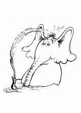 Horton Hears Ortone Baigne Seuss sketch template