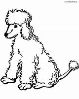 Poodle Coloring Pages Toy Printable Poodles Chow Google Kids Print Search Clip Getcolorings Silhouette Color Getdrawings Popular Animal sketch template