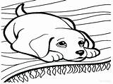 Coloring Pages Puppy Printable Cute Color Getcolorings Print Colorings sketch template
