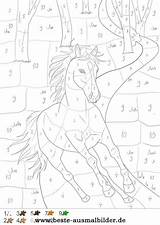 Zahlen Malen Pferd Pferde Ausdrucken Erwachsene Einhorn Vorlagen Malvorlagen Nummers Malvorlage Farben Antje Schroor Club Zeitaufwand Lektionen sketch template