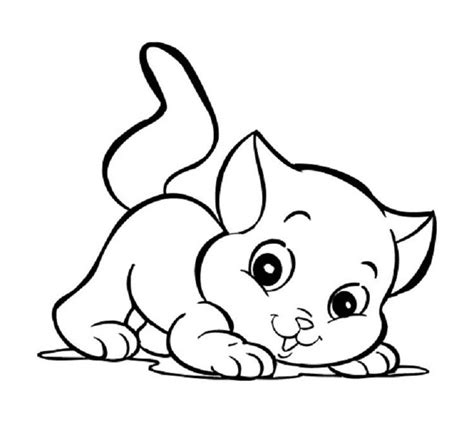 preschool kitten coloring pages cat coloring page kitty coloring