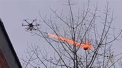 video show  flamethrower drone torching  wasp nest snopescom