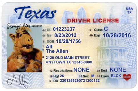 texas id card template  design template
