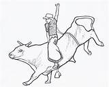 Coloring Pages Pbr Popular Bull sketch template