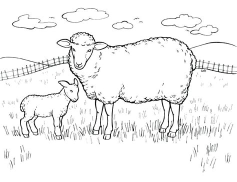 easter lamb coloring pages  getdrawings