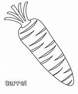 Coloring Pages Carrot sketch template