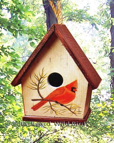 bird   cardinal bird house dimensions