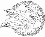 Mandala Mandalas Coloring Animals Pages Dolphins Color Animal Print Drawing Coloriage Colorier Printable Frees Stress Anti Dauphin Imprimer Dessin Animaux sketch template
