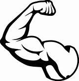 Muscle Clipart Arm Muscles Library sketch template