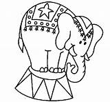Circus Elephant Coloring Pages Performing Drawing Color Ball Getcolorings Printable Standing Print sketch template