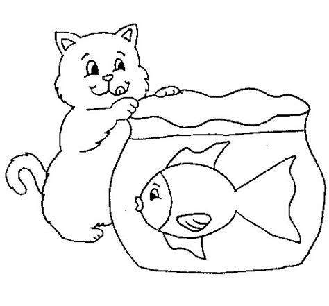 cat  fish coloring page coloringcrewcom