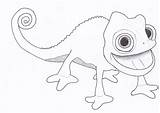 Pascal Chameleon Tangled sketch template
