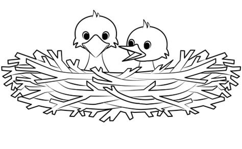 coloring pages  birds nests