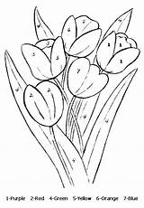 Tulips Fiori Tulip Coloriage Allkidsnetwork Numere Coloringhome Planse Patterns Colorat Dupa Natur Malvorlage Actividades Imprimir Stained Glass Imprimer Coloriages Trafic sketch template
