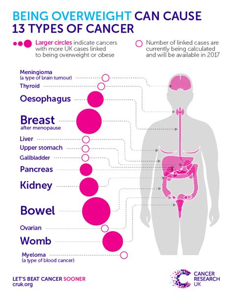 obesity linked to 13 types of cancer the guardian nigeria news