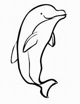 Dolphin Coloring Pages Easy Printable Kids Getcolorings Color Animal Book sketch template