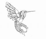 Hummingbird Tattoos sketch template