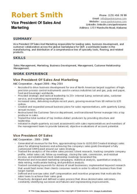 vp sales resume template