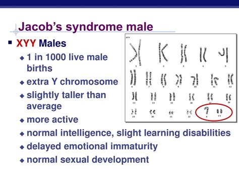 ppt errors of meiosis chromosomal abnormalities powerpoint