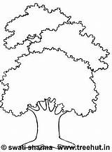 Coloring Pages Trees Tree Forest Sharma Swati sketch template
