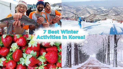 top   winter activities  korea snow festivals ski   koreatraveleasy