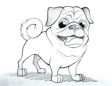 baby pug coloring pages  getcoloringscom  printable colorings