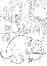 Huisdiergeheimen Pets Kleurplaten Coloring4free Printen Animali Websincloud Tekening Afdrukken Tekeningen Pinnwand sketch template