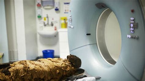 Egyptian Pregnant Mummy Discovered By Polish Researchers