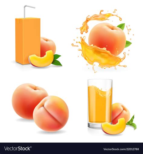 peach juice collection peaches drink package vector image