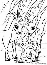 Rudolph Ausmalbilder Malvorlagen Nase Roten Reindeer Nosed sketch template