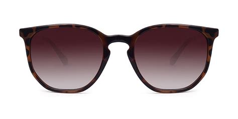 lee cooper brown tinted wayfarer sunglasses sc